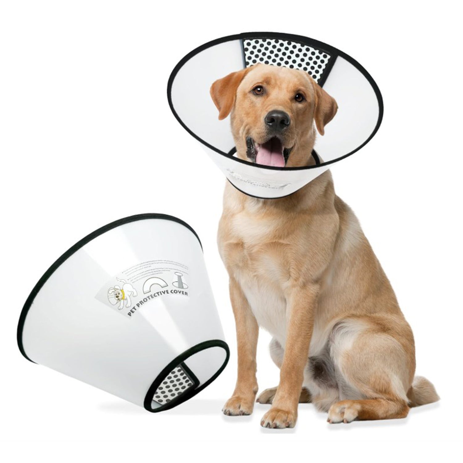 Elizabethan Collar