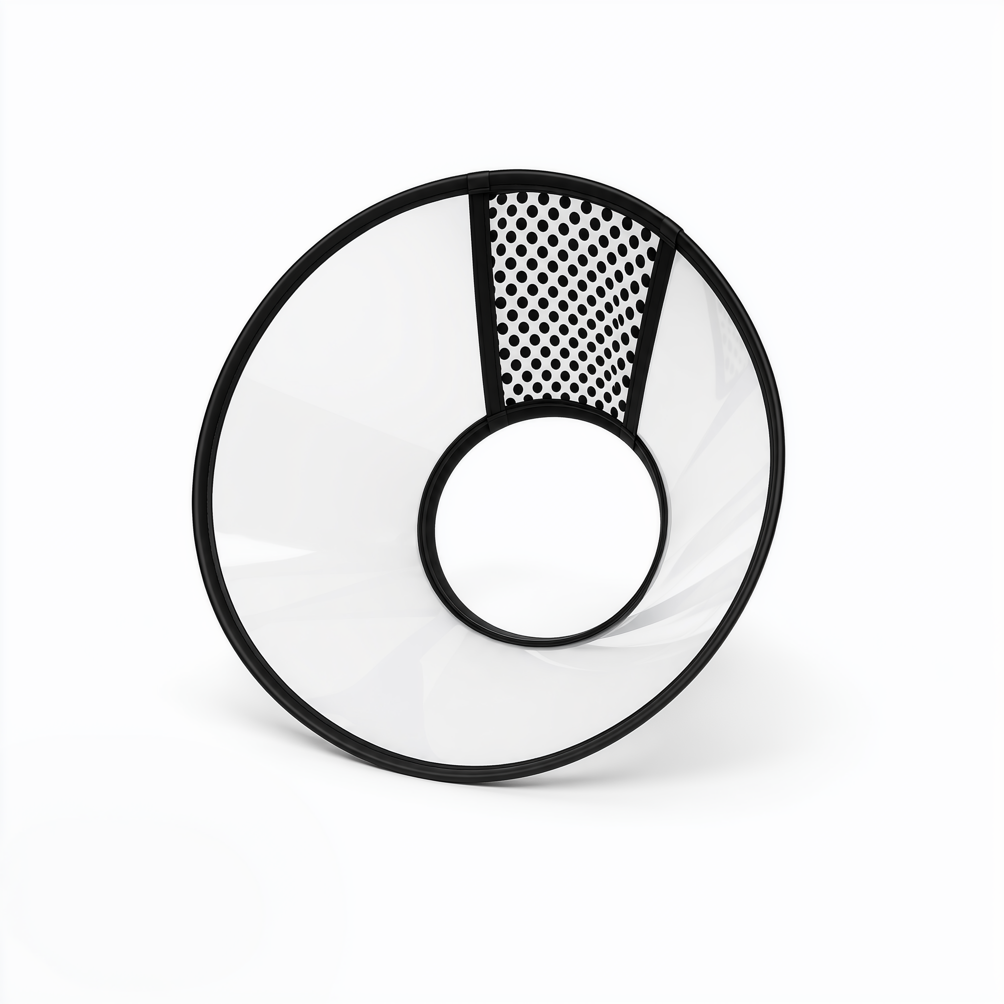 Elizabethan Collar